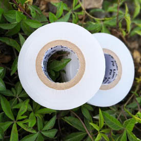 Biodegradable film for grafting