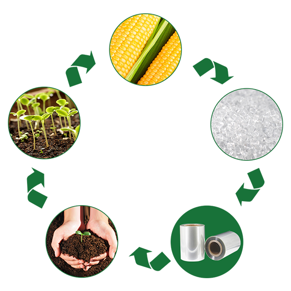 Why Should I Choose Biodegradable Plastic Products?