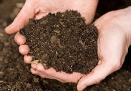 Environmentally Friendly PLA Material Is Excellent